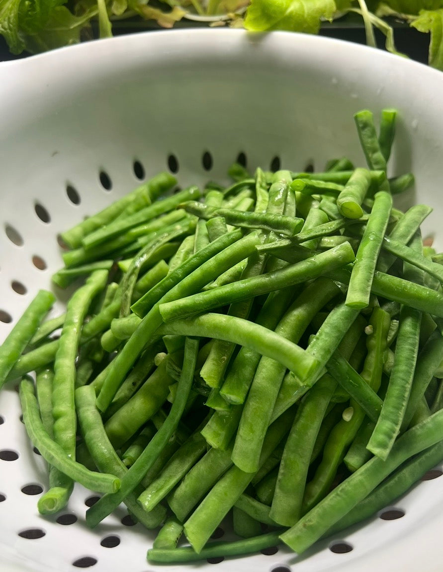 Green beans seeds - bush heirloom